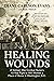 Healing Wounds: A Vietnam W...