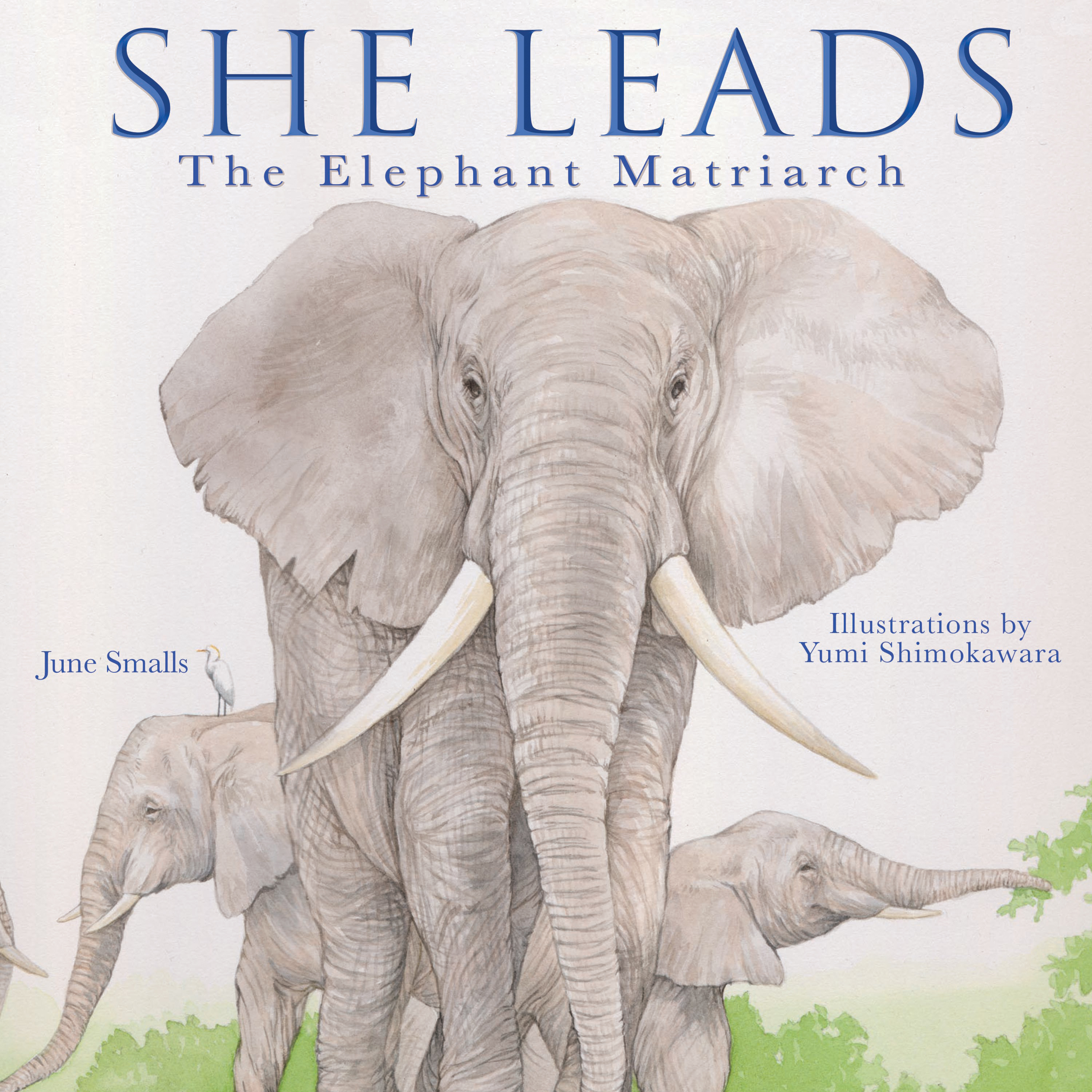 She Leads: The Elephant Matriarch (Hardcover)