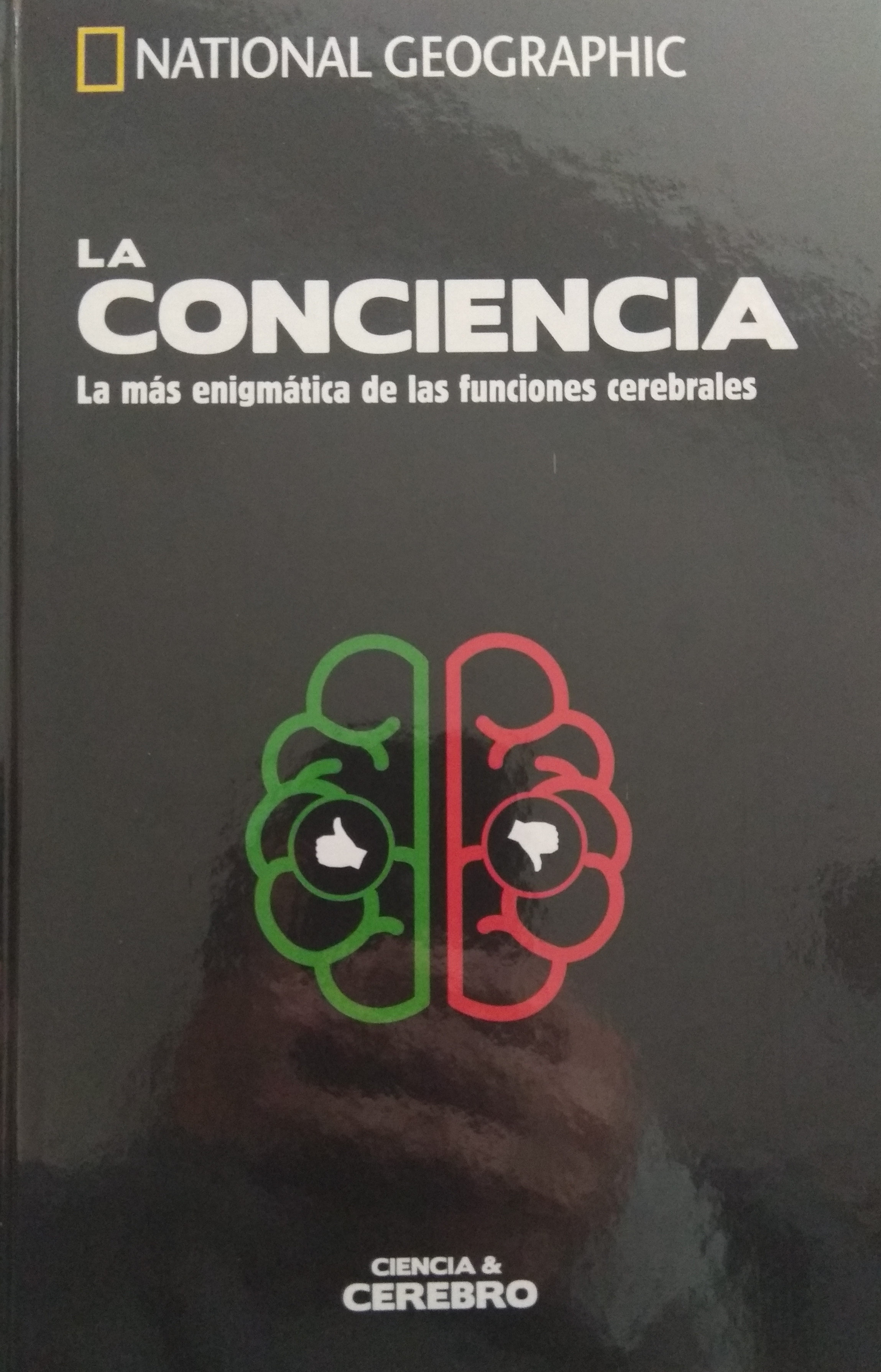 La conciencia