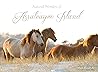 Natural Wonders of Assateague Island by Mark   Hendricks