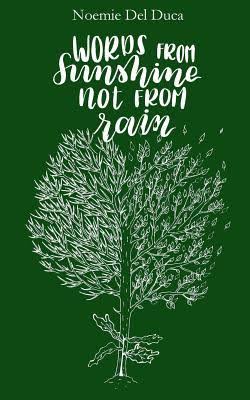 Words from Sunshine, Not from Rain (Paperback)