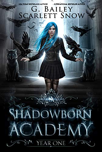 Shadowborn Academy: Year One (Dark Fae Academy, #1)