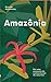 Amazônia - Por uma economia do conhecimento da natureza by Ricardo Abramovay