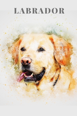Labrador | Notebook: Labrador gifts for girls and women | Lined notebook/Journal/Composistion book