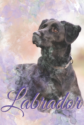 Labrador | Composition book: Labrador gifts for girls and women | Lined notebook/Journal/Composistion book