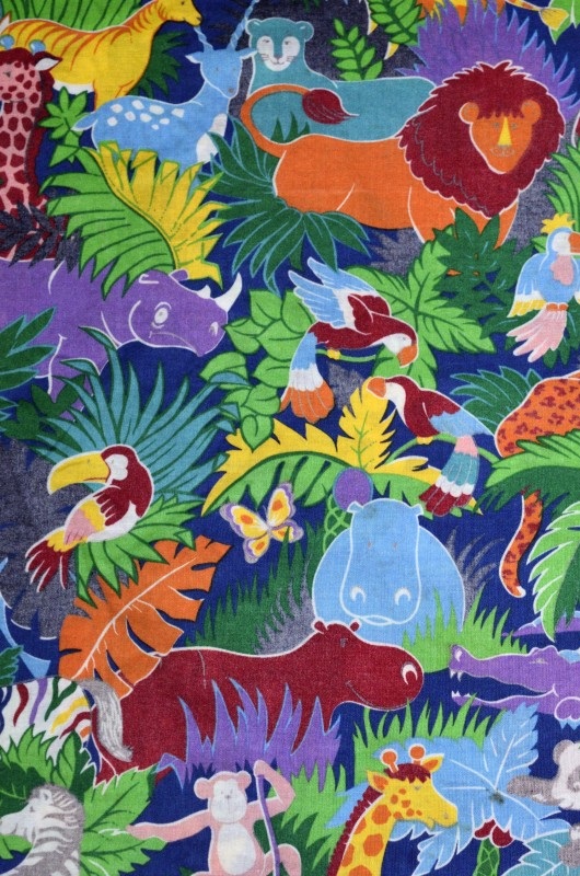 Cuento con piojo y picaflor (Audiobook)