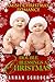 Double Blessings at Christmas by Hannah Schrock