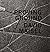 David Maisel: Proving Ground