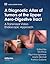 A Diagnostic Atlas of Tumors of the Upper Aero-Digestive Tract: A Transnasal Video Endoscopic Approach