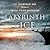 Labyrinth of Ice by Buddy Levy