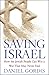 Saving Israel: How the Jewish People Can Win a War That May Never End