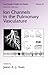 Ion Channels in the Pulmonary Vasculature (Lung Biology in Health and Disease)