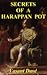 Secrets of a Harappan pot