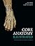Core Anatomy - Illustrated