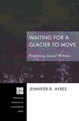 Waiting for a Glacier to Move: Practicing Social Witness (Princeton Theological Monograph)