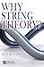Why String Theory?