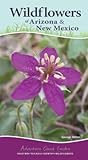 Wildflowers of Arizona & New Mexico: Your Way to Easily Identify Wildflowers (Adventure Quick Guides)