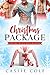 Christmas Package by Cassie Cole