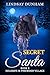 Secret Santa (Holidays in P...