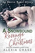 A Snowbound Revenge Christmas