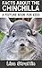 Facts About the Chinchilla ...