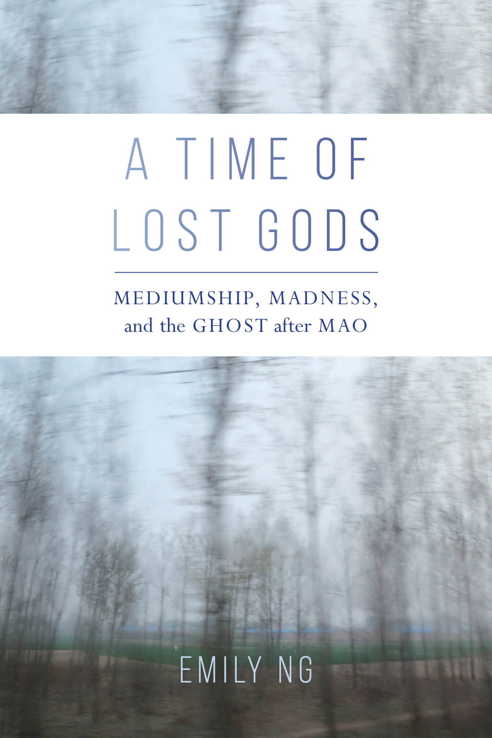 A Time of Lost Gods: Mediumship, Madness, and the Ghost after Mao (Hardcover)