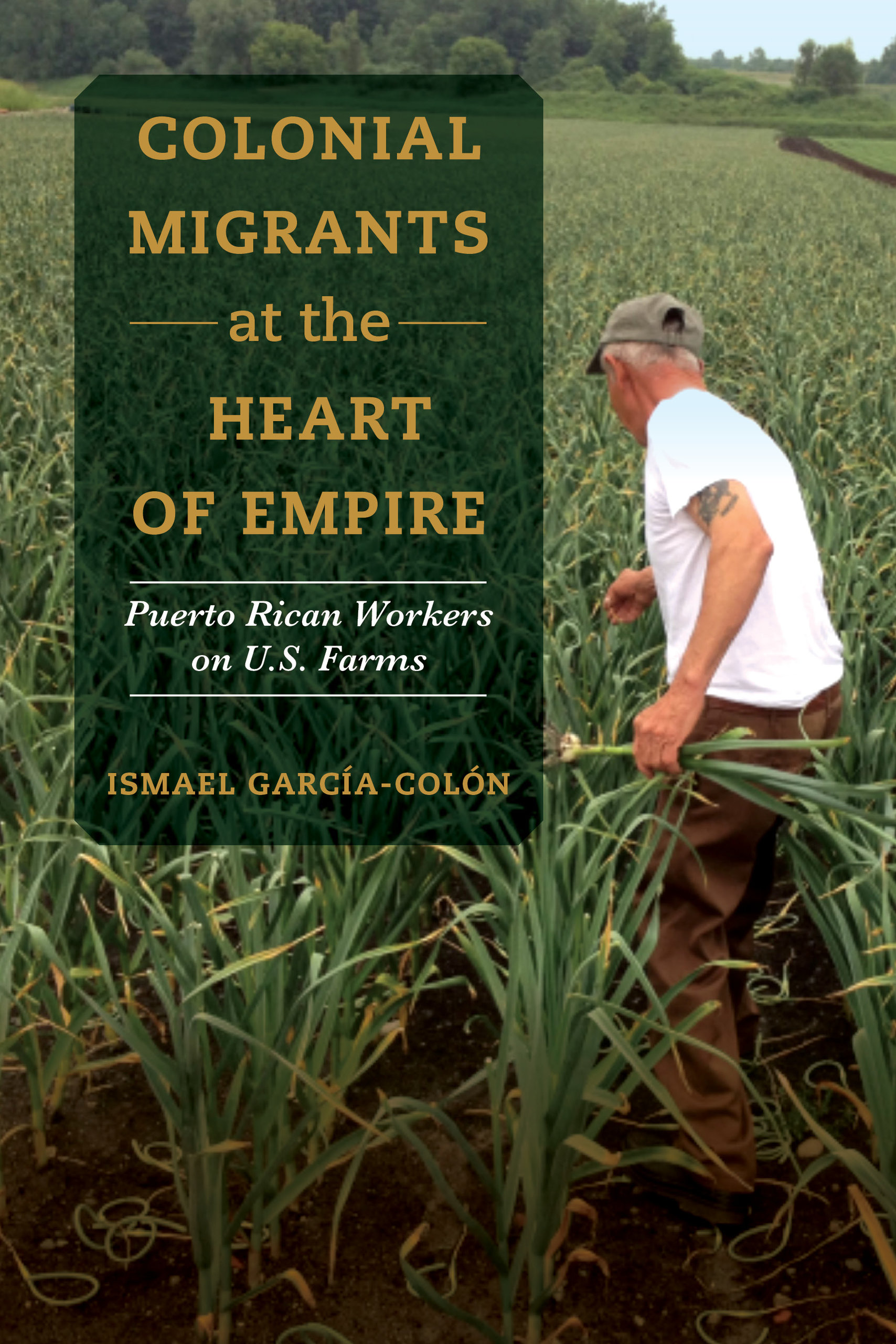Colonial Migrants at the Heart of Empire: Puerto Rican Workers on U.S. Farms (Paperback)