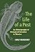 The Life of a Pest: An Ethnography of Biological Invasion in Mexico