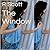 The Window