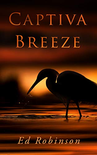 Captiva Breeze (Bluewater Breeze #3)