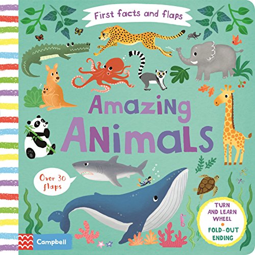 Amazing Animals (Board book)