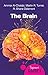 The Brain: A Beginner's Guide (Beginner's Guides)