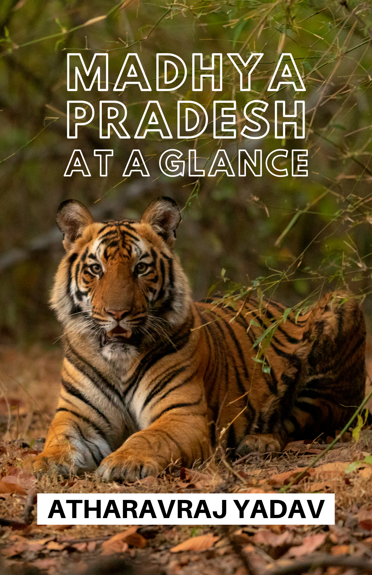 Madhya Pradesh At a Glance