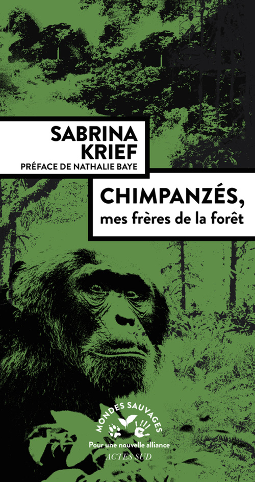 Chimpanzés, mes frères de la forêt (Paperback)
