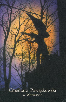 Cmentarz Powązkowski w Warszawie (Paperback)