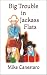 Big Trouble in Jackass Flats