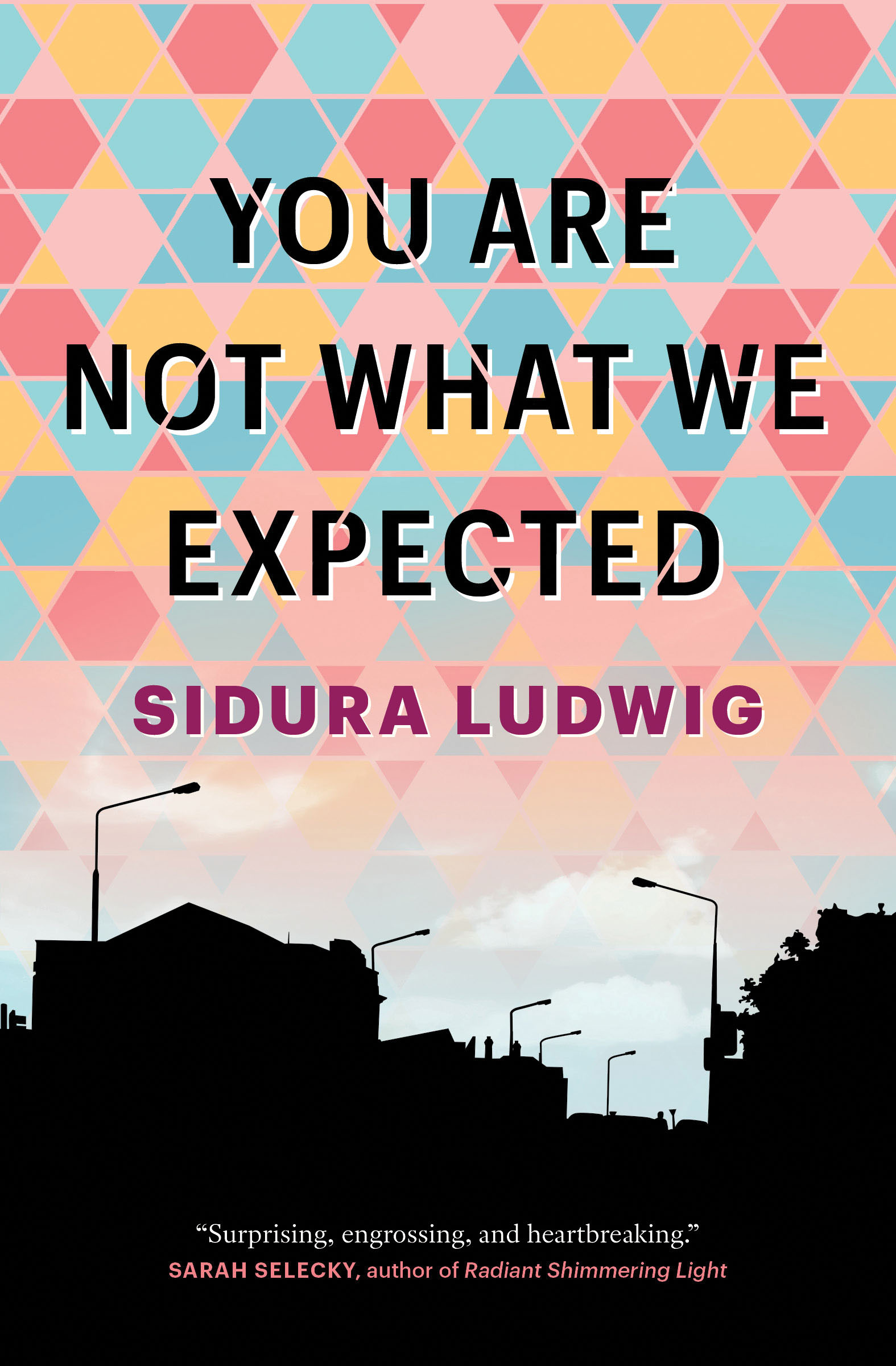 You Are Not What We Expected (Paperback)