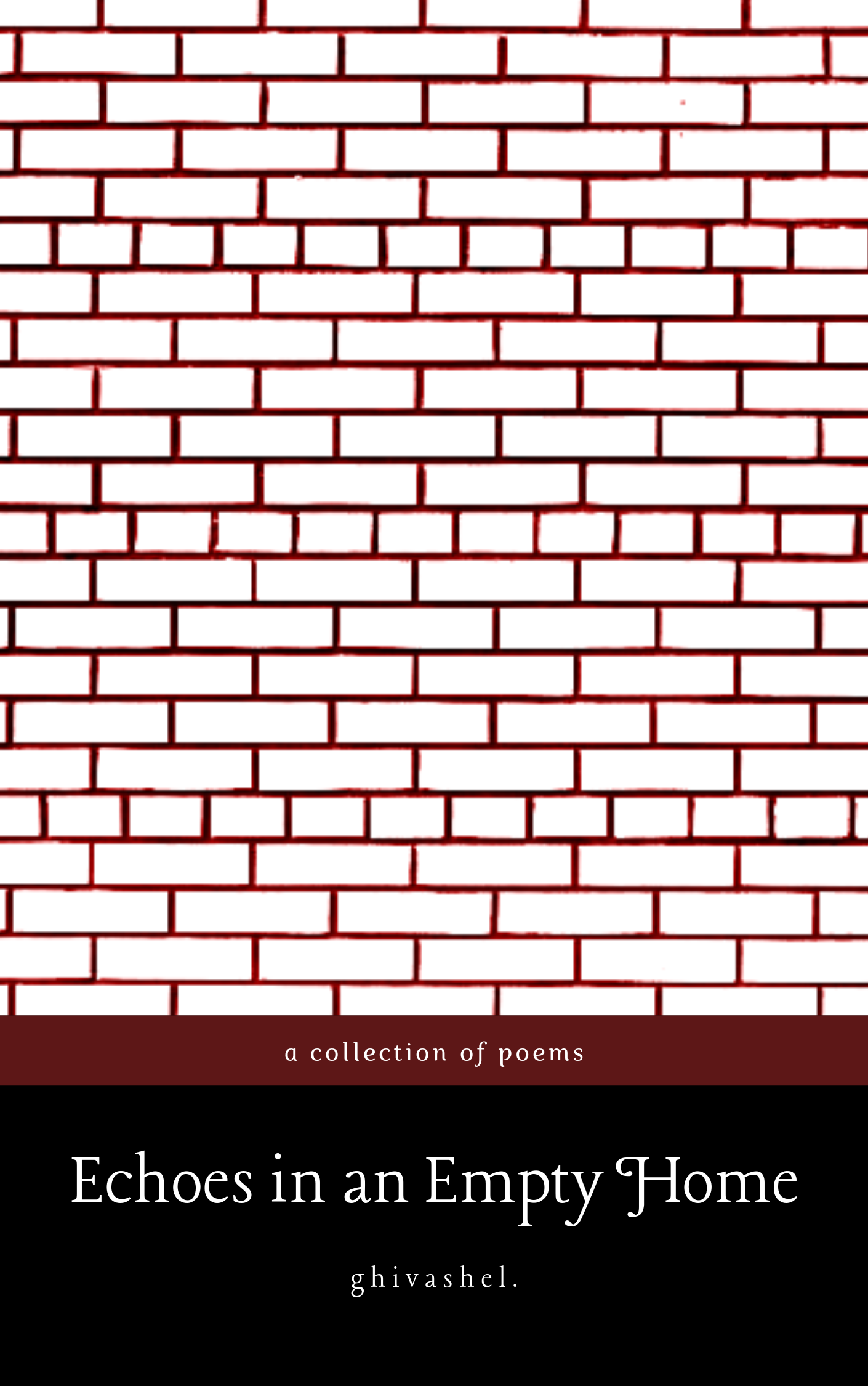 Echoes in an Empty Home: a collection of poems