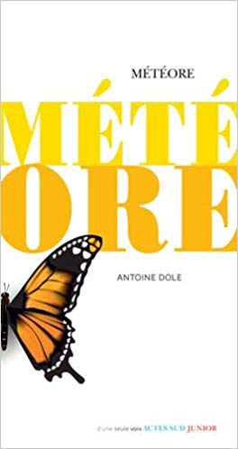 Météore (Paperback)