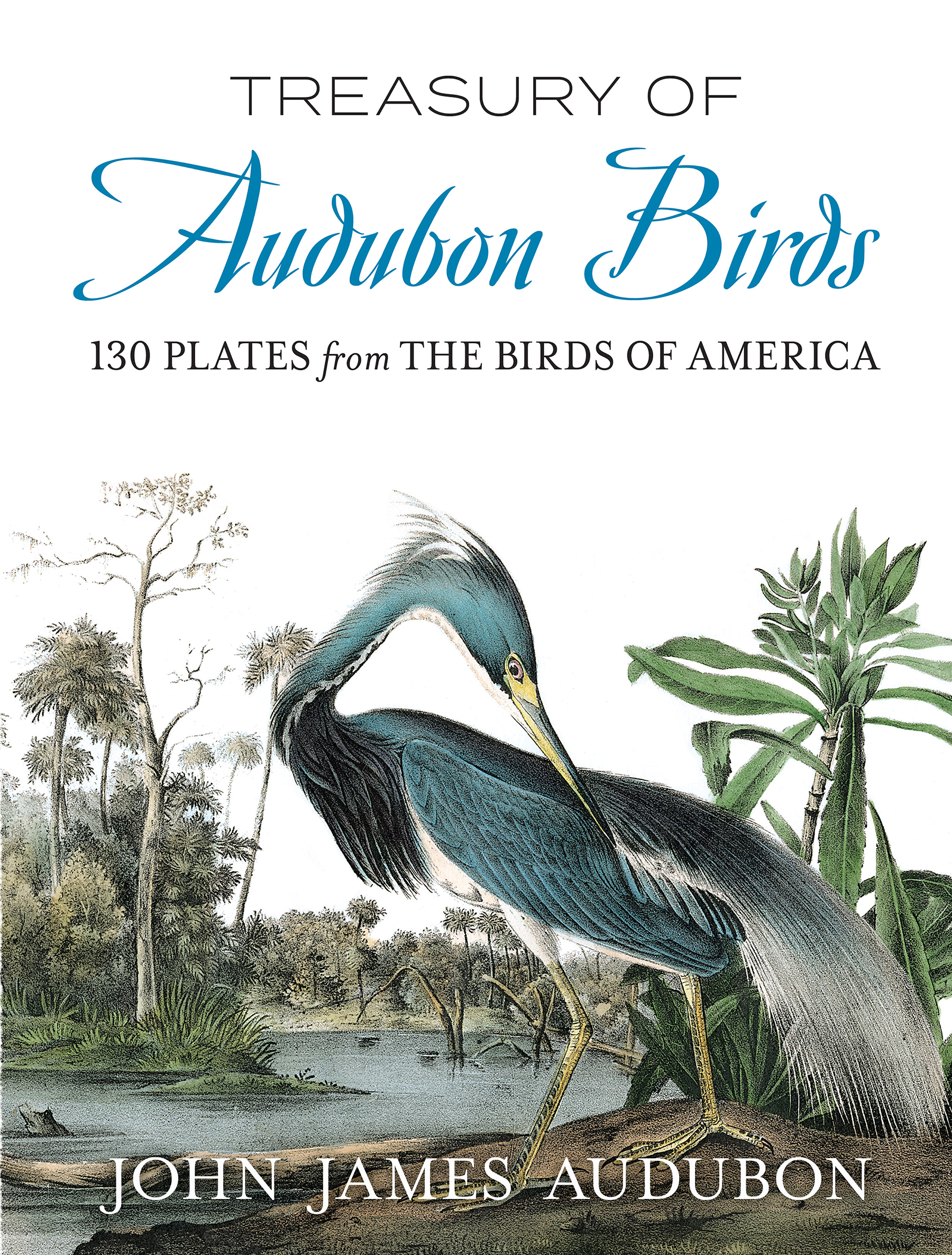 Treasury of Audubon Birds: 130 Plates from The Birds of America (Paperback)