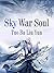 Sky War Soul: Volume 17