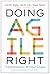 Doing Agile Right: Transformation Without Chaos