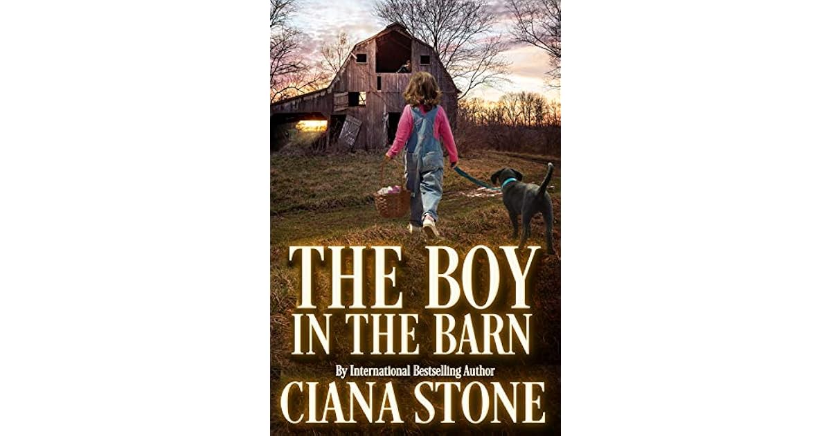 The Boy in the Barn by Ciana Stone