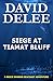 Siege at Tiamat Bluff (Bric...