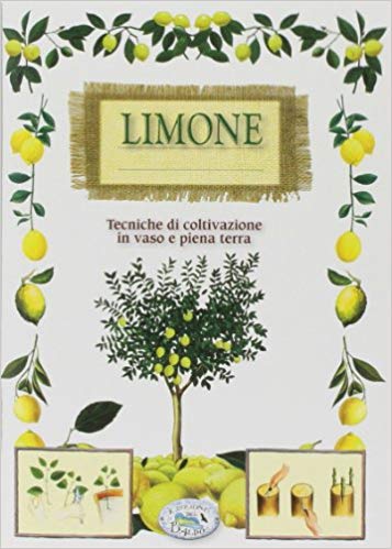 Limone