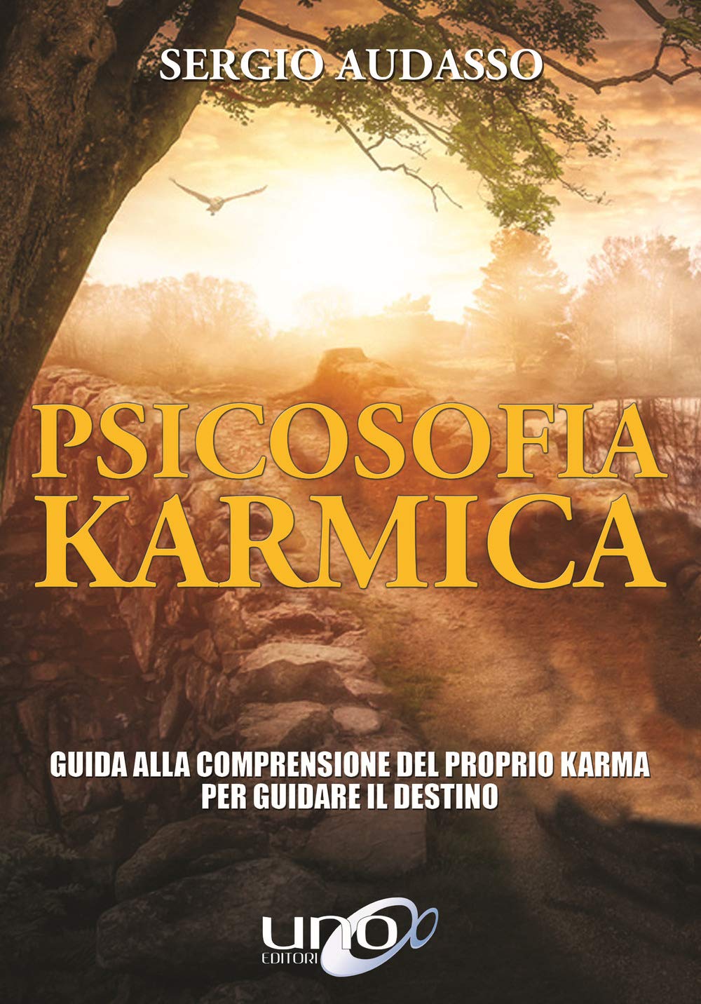 Psicosofia Karmica (Paperback)