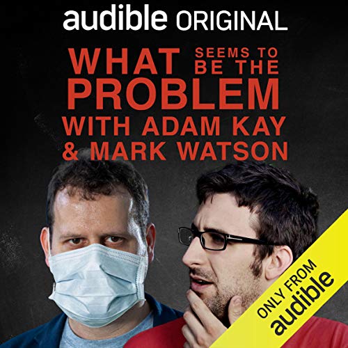 What Seems To Be The Problem (Audiobook)