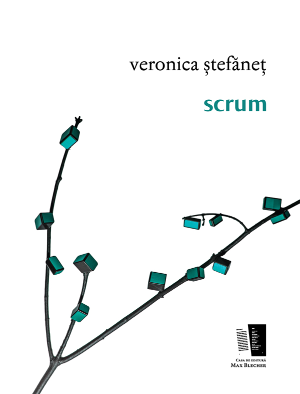 scrum (Paperback)