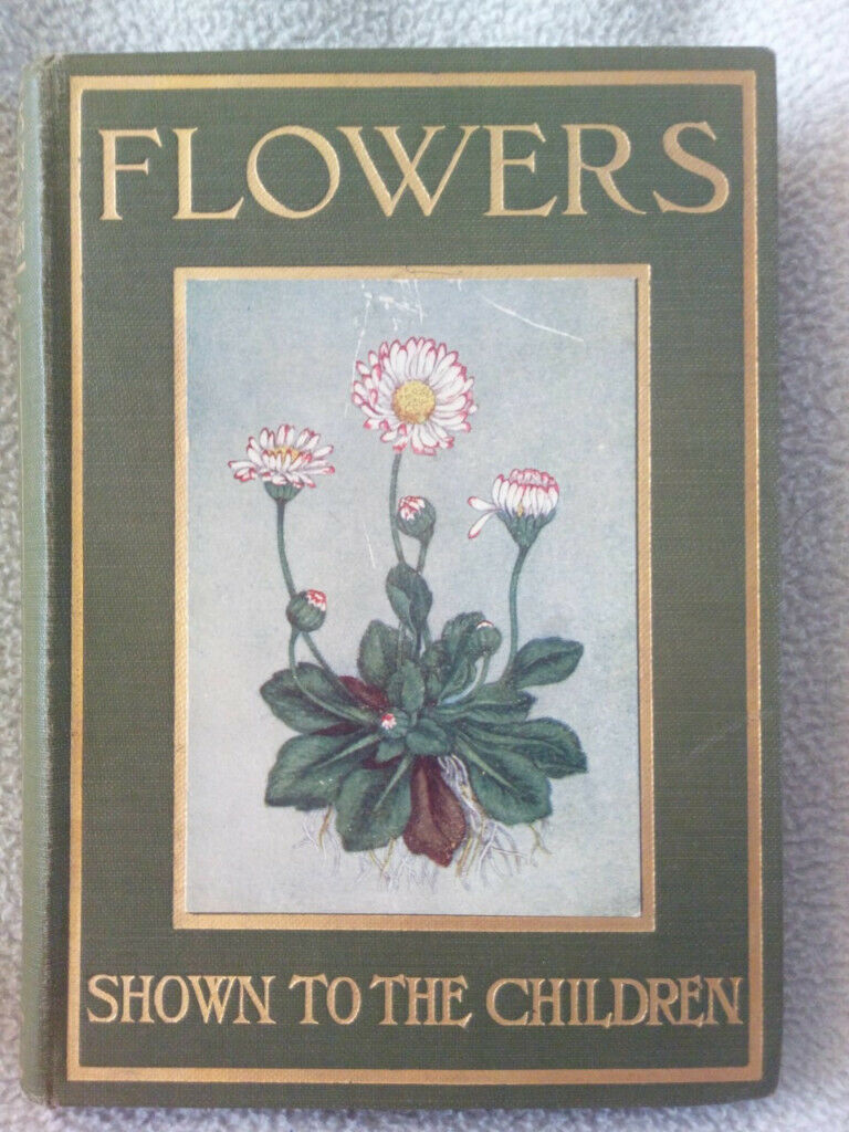 Flowers Shown to the Children
