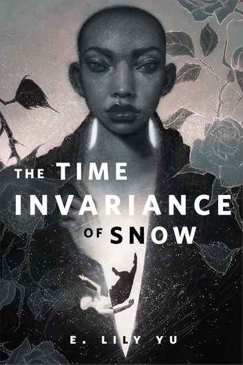 The Time Invariance of Snow (Kindle Edition)